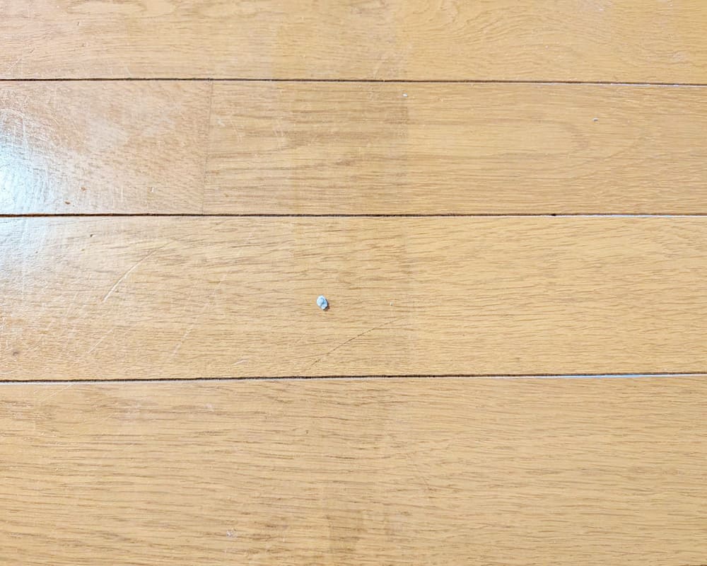 フローリング床洗浄の実績